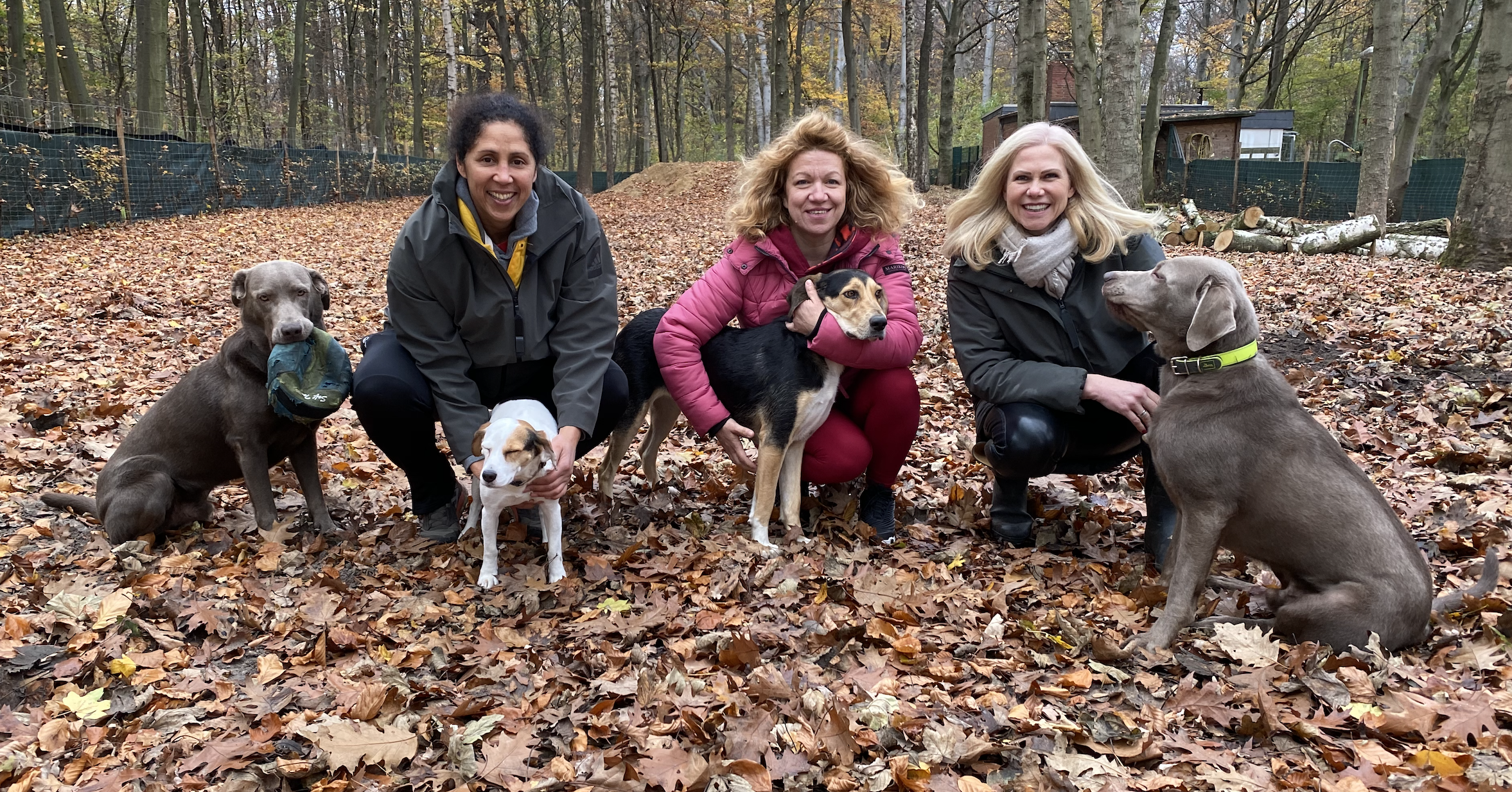 nala´s shelter projekt griechenland